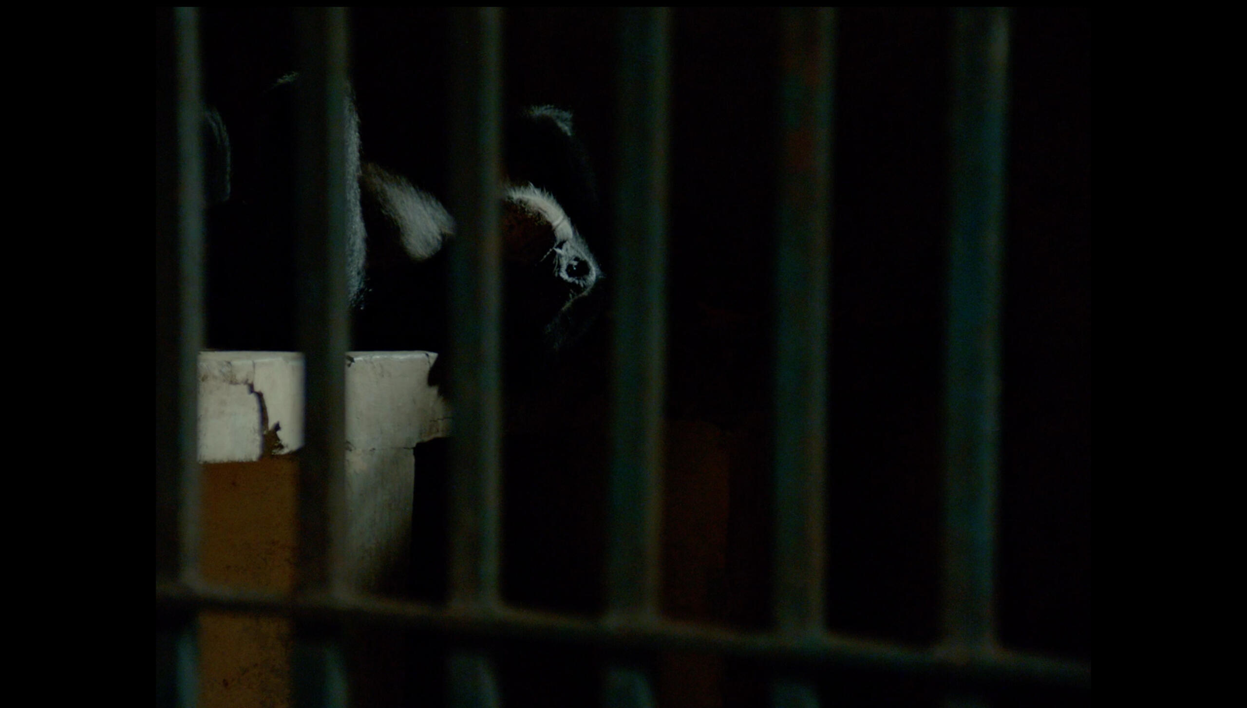 Fukuyama. Dir: Ciro Puig Bonet. Fiction. 20 min. Cuba, 2026